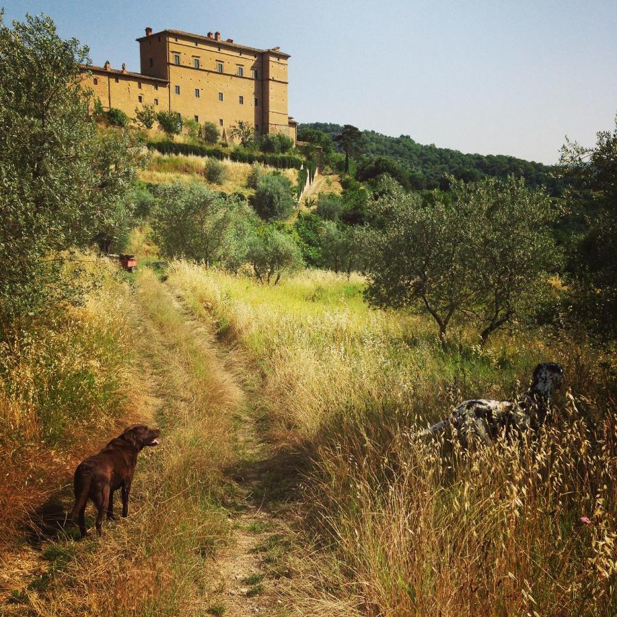 Castello Di Potentino Seggiano Ngoại thất bức ảnh