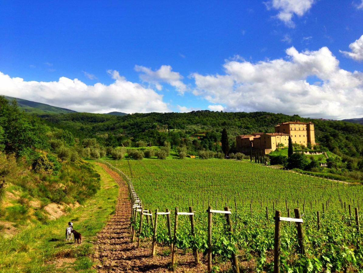 Castello Di Potentino Seggiano Ngoại thất bức ảnh